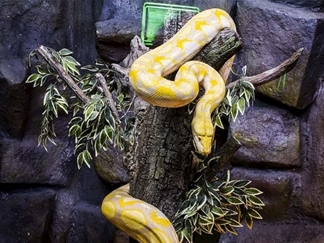 باغ خزندگان اصفهان