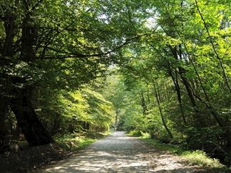 روستای جعفرآباد