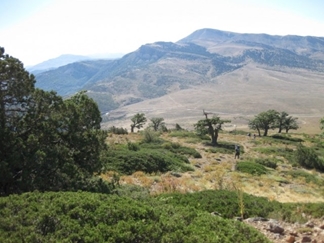 قله زبله روستای زیارت گرگان