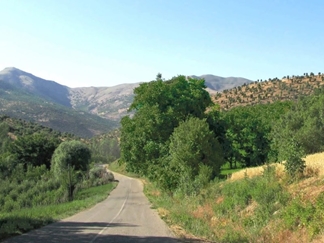 روستای نجنه علیا