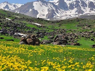 روستا و پیست اسکی آلوارس