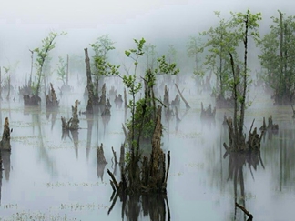 تالاب ارواح (دریاچه ممرز)