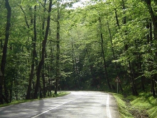 جاده دوهزار تنکابن