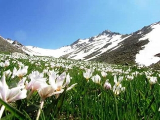 تخت نادر همدان