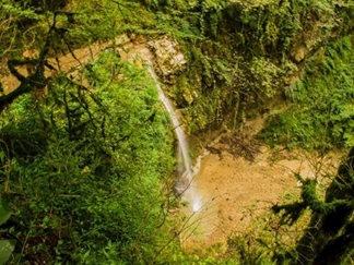 جنگل های انجیلی (ولیلا)