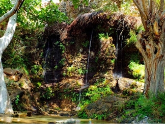 چشمه انگورستانی سمنان