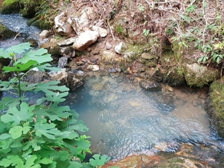 چشمه دمکش کجاست؟