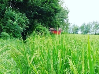 روستای ازباران