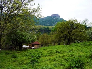 روستا و جنگل لوندویل