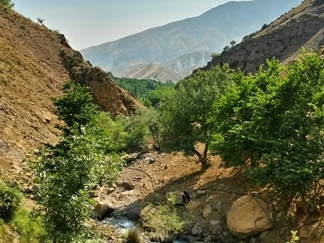 روستای کند علیا لواسان