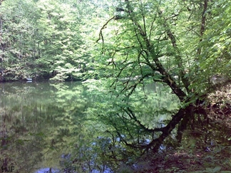 دریاچه خضر نبی نوشهر