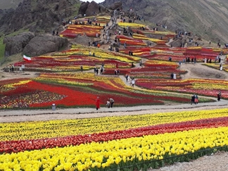 دشت لاله کندر