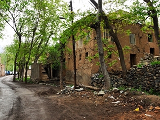 روستای طامه