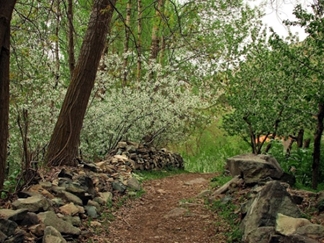 روستای ایگل شمیرانات