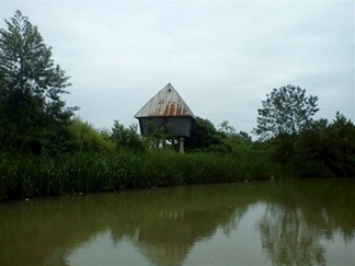 مرداب نشتارود