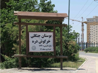 پارک جنگلی خرگوش دره تهران