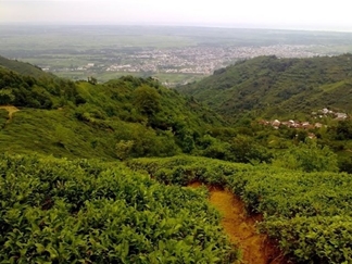 لیلا کوه لنگرود