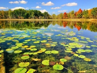 تالاب سرخانکل انزلی