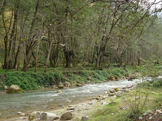 پارک جنگلی فین چالوس