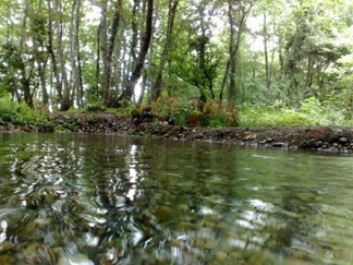 چشمه گردوک نوشهر