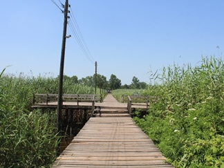 پل چوبی بندر کیاشهر