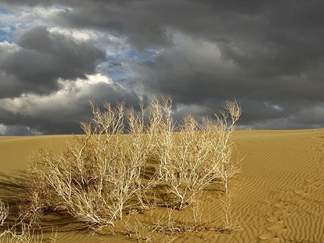 کویر خارا ورزنه