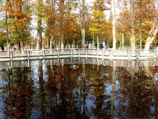 باغ محتشم رشت