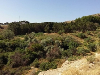 پارک ملی خجیر