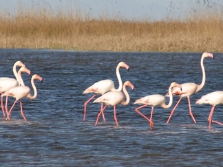 پارک ملی بوجاق کجاست؟