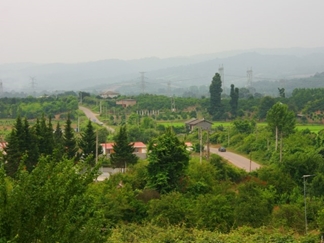 جنگل کوتنا نزدیک قائم شهر