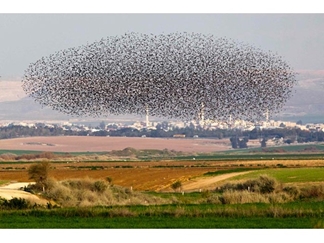 جاذبه‌های گردشگری فریدونکنار