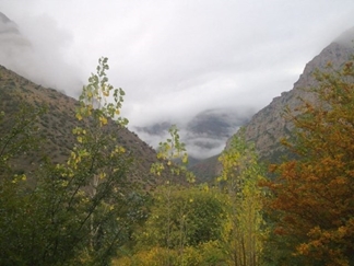 جنگل فینسک مهدیشهر