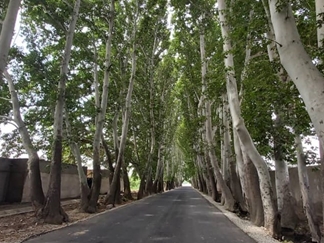 روستای تاریخی ایقربلاغ