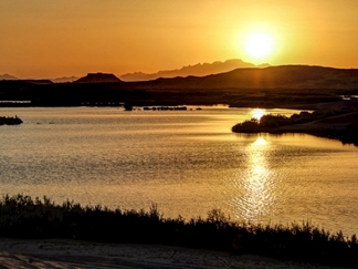 تالاب پساب یزد