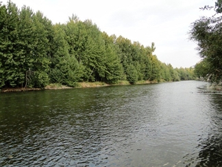 آشنایی با باغبهادران اصفهان