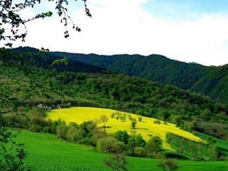 منطقه هزار جریب کجاست؟