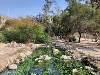 چشمه‌ آبگرم گنو بندر عباس