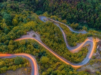 جنگل توسکستان گرگان