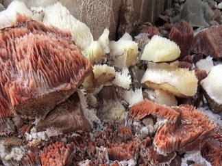 تونل های نمکی گرمسار