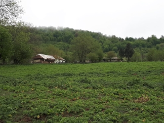 روستای نوکنده ساری