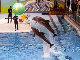 پارک دلفین برج میلاد تهران