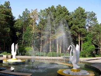 پارک طالقانی تهران