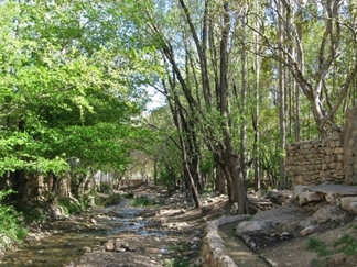 شهمیرزاد، بهشتی در کویر