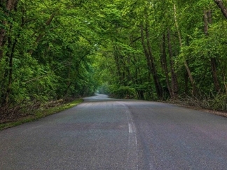 پارک جنگلی نور