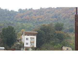 اجاره واحد جنگلی در تالش