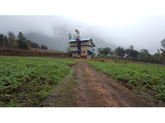 واحد ییلاقی و جنگلی در تالش