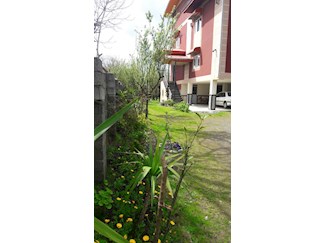 اجاره آپارتمان در تالش گیلان