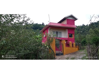 اجاره واحد جنگلی در فومن