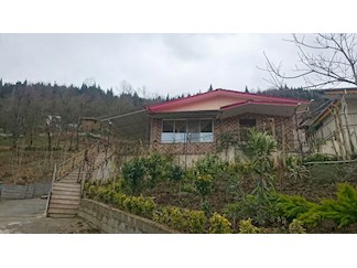 ویلای اجاره ای دربست جنگلی