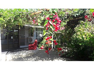 اجاره خانه ویلایی در ساری